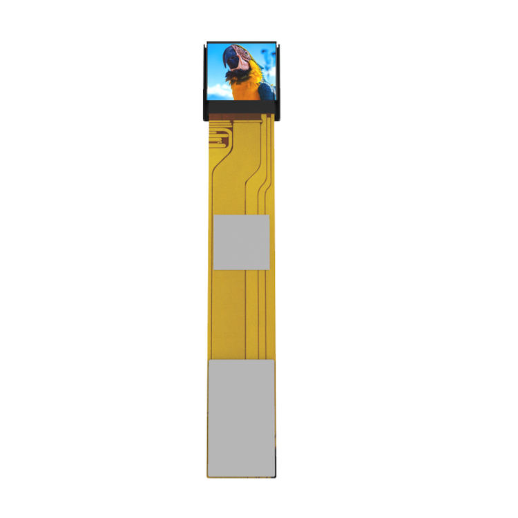 ኦፕቲካል ሞዱል